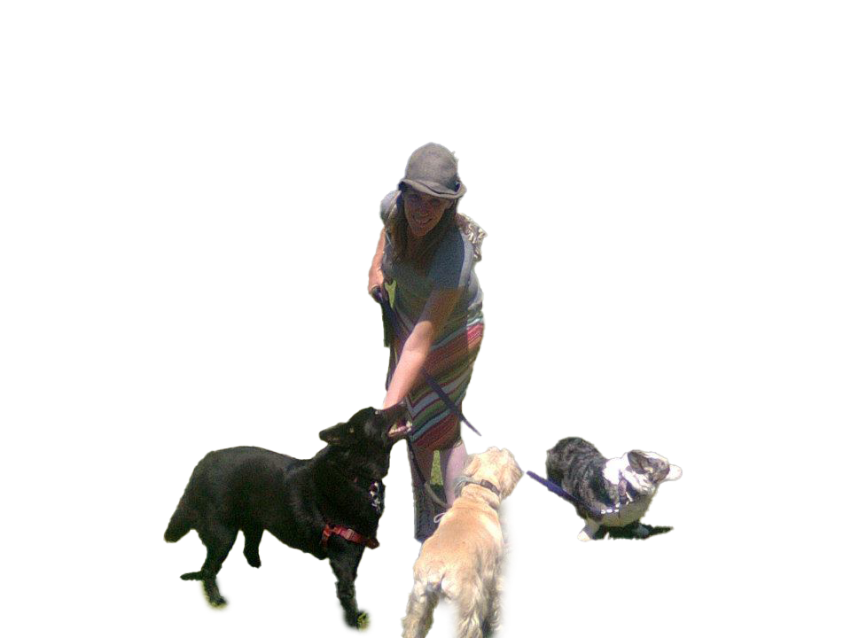 Tracy and Dogs